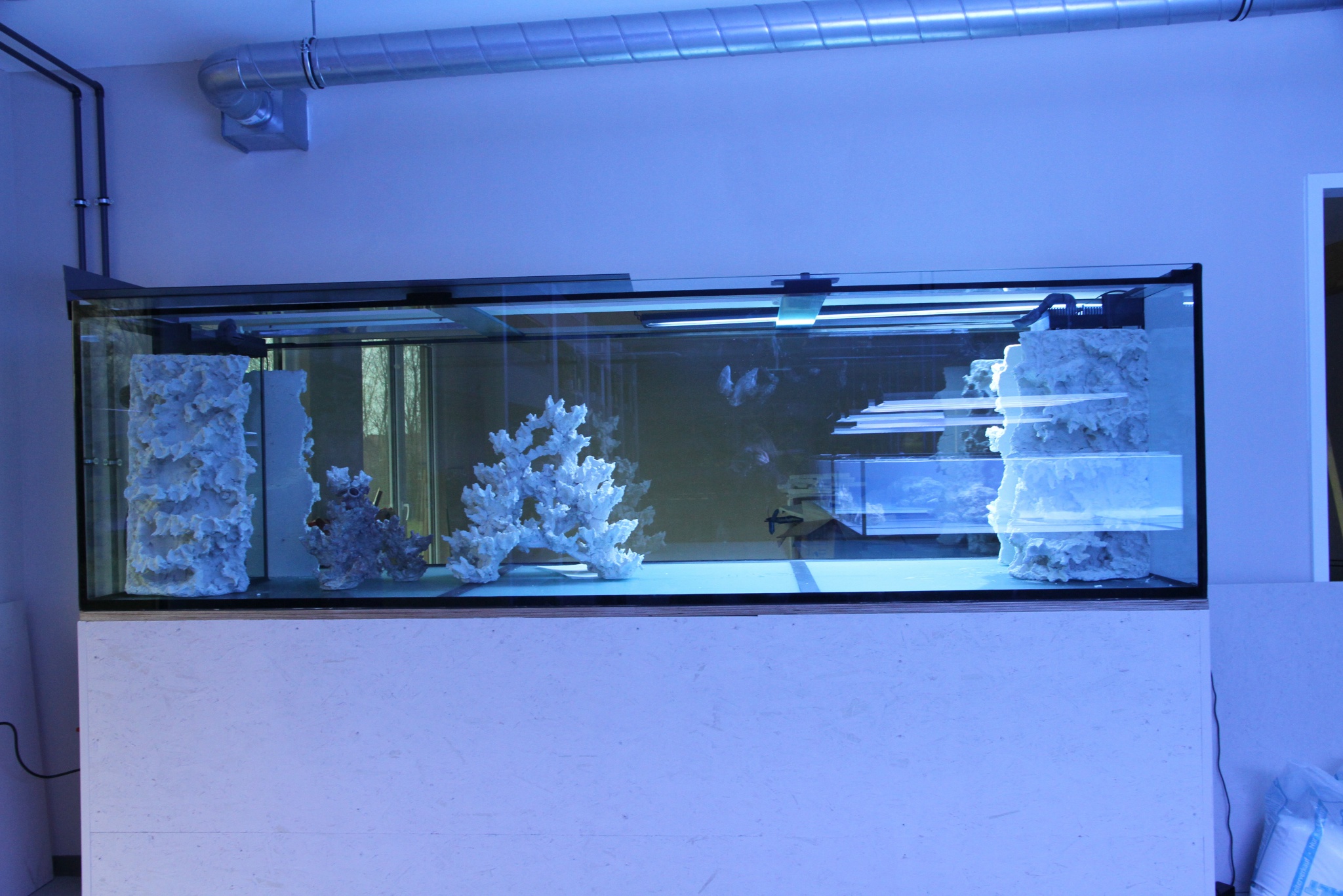 Welches Meerwasseraquarium für Einsteiger, Fortgeschrittenen und